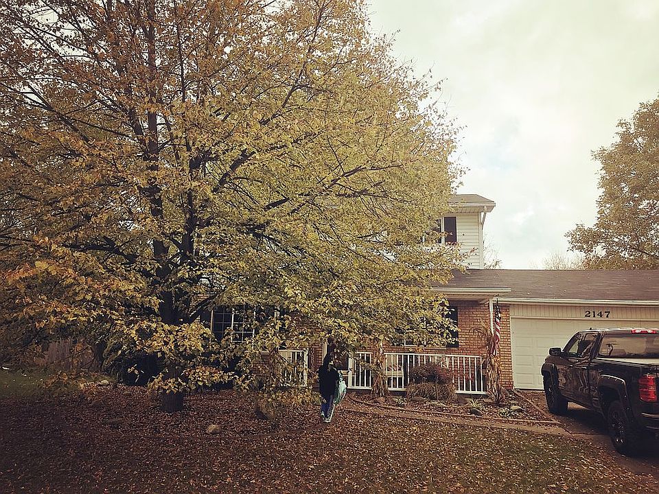 Front tree is magnificent 