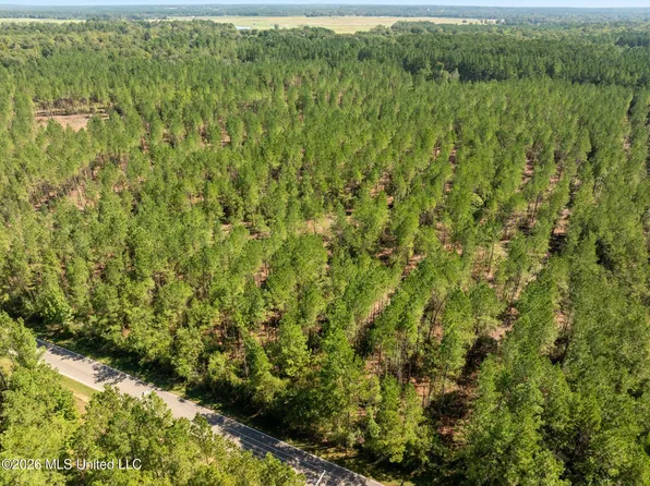 Lott Town Rd, Hattiesburg, MS 39402