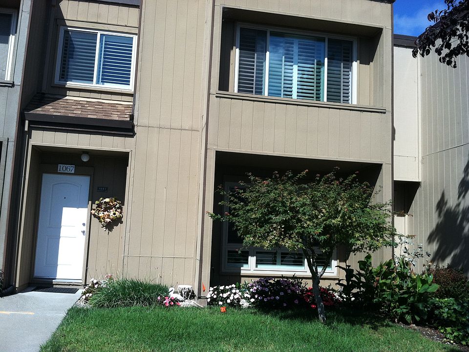 1st image of 1067 Mangrove Ln