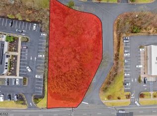 20 Sandra Dr, Parsippany-Troy Hills Twp., NJ 07054