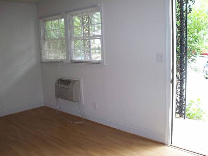 Living Room Windows