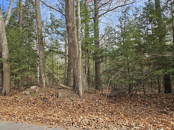 5th image of 83, 86 Lovejoy Shores Drive