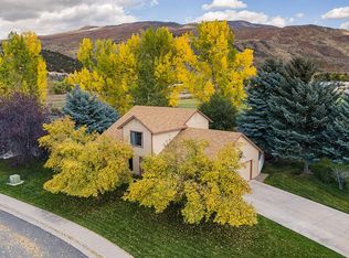 47 Coyote Cir, El Jebel, CO 81623