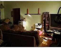 4th image of 11598 Darlington Dr