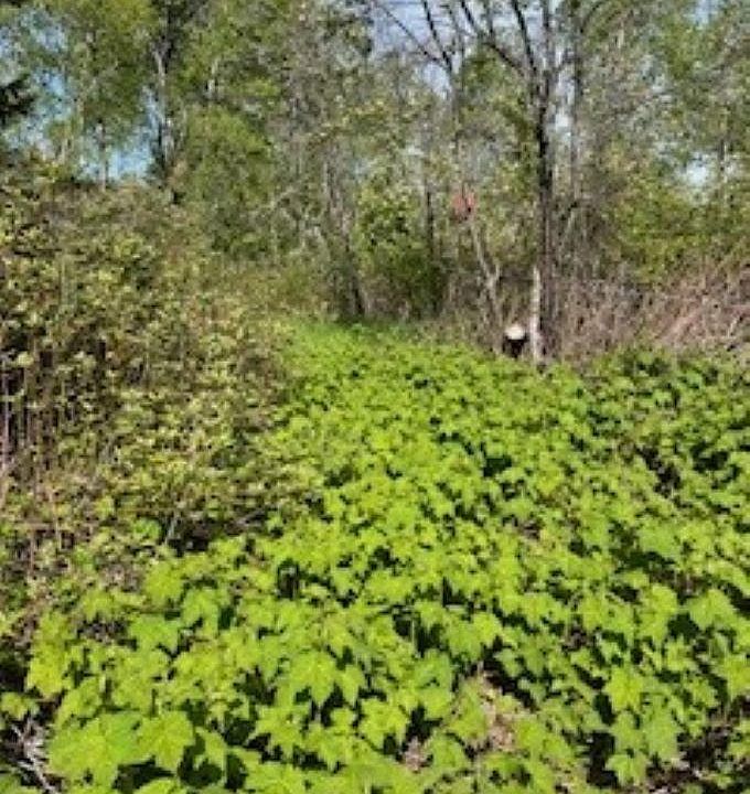 1st image of 294X County Road 7
