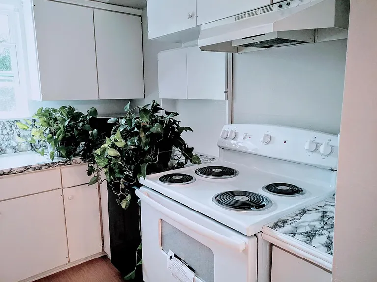 5527 Darnell St — Photo 11