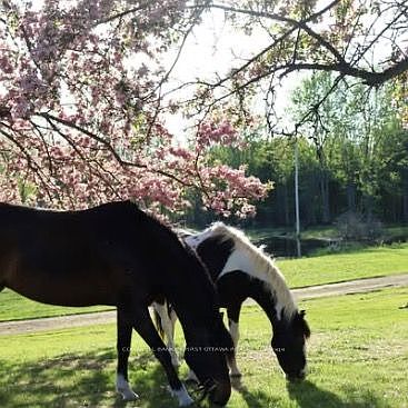 4th image of 3750 Bass Rd