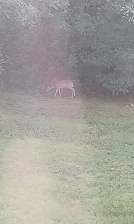 2nd image of 349 Lawson Rd