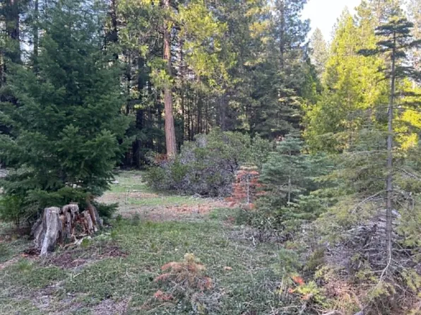 0 State Highway 44, Shingletown, CA 96088
