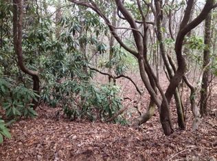 3 White Oak Ter #3, Brevard, NC 28712