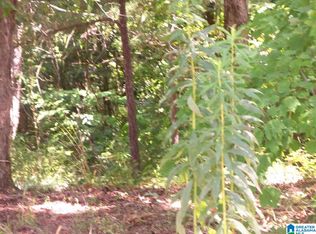 Mallard Point LOT 1, Warrior, AL 35180