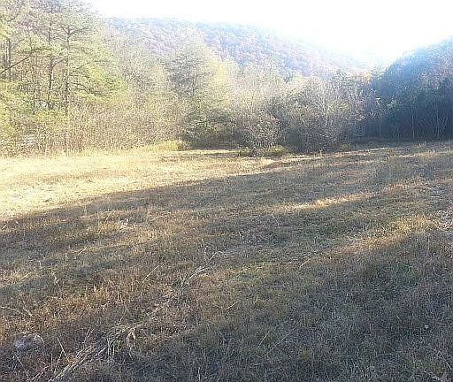 Your horse goes here!