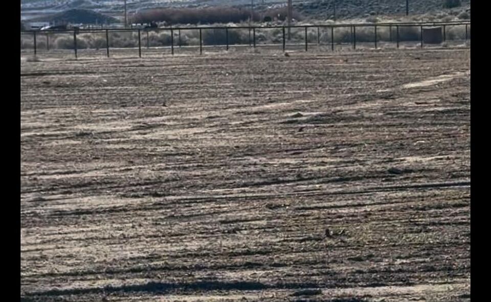 2nd image of 16571 Chumash Trl