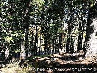 4th image of 7869 Red Tail Ct #24