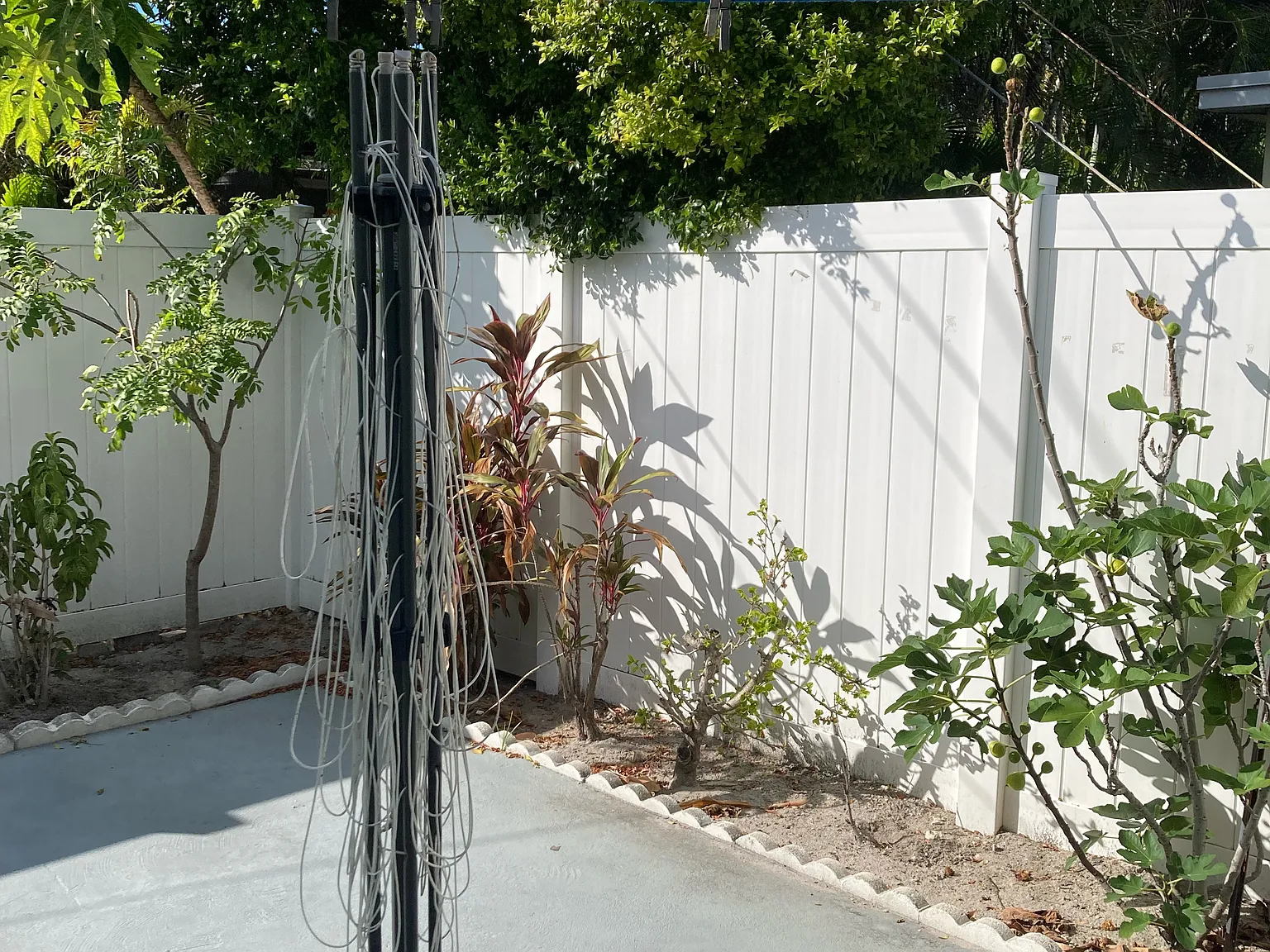2 bed, $2,300 — Photo 3