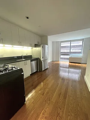 225 Schermerhorn Street #11E