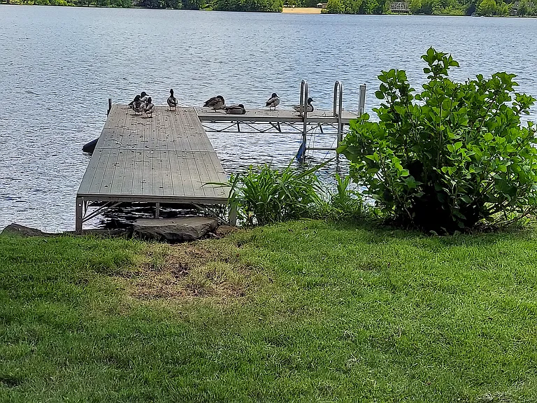 Lake Rd — Photo 15