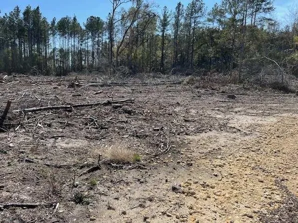 State Highway 55, Florala, AL 36442