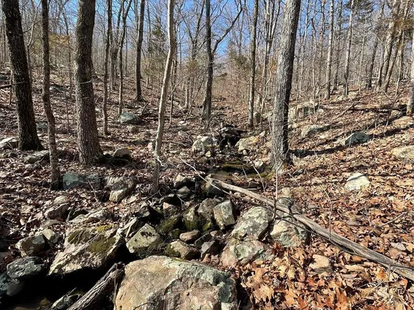 700 Lori Ln, Ironton, MO 63650