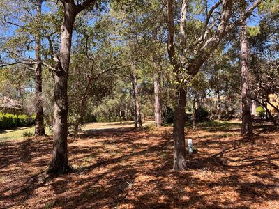 3608 Preserve Ln, Miramar Beach, FL, 32550