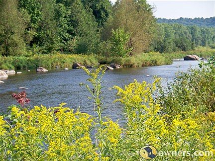 Embarrass river view south