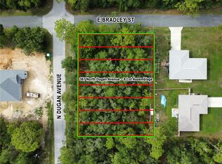 367 N Dugan Ave LOT 420, Inverness, FL 34453