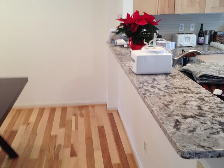 10651 Pine Haven Ter — Photo 7