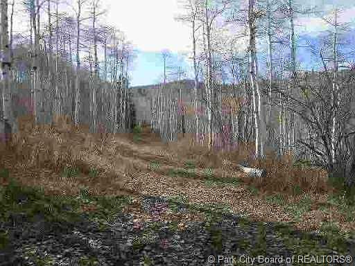 5th image of 382 Porcupine Loop #Ss-144