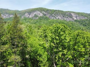 0 Mint Wood Ct #12, Lake Lure, NC 28746