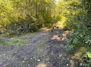 210 Bellicum Rd, Morton, WA 98356