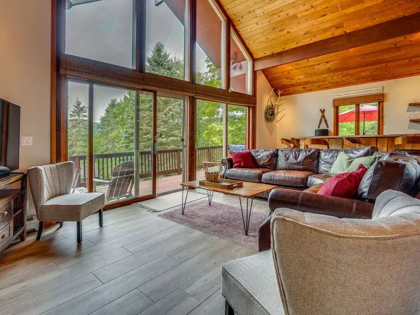 6862 Niles Rd #Id1613687p, Ellicottville, NY 14731
