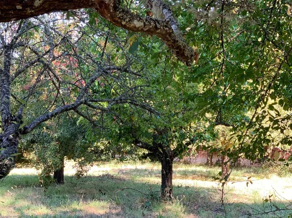 236 & 240 Orchard Way, Myers Flat, CA 95554