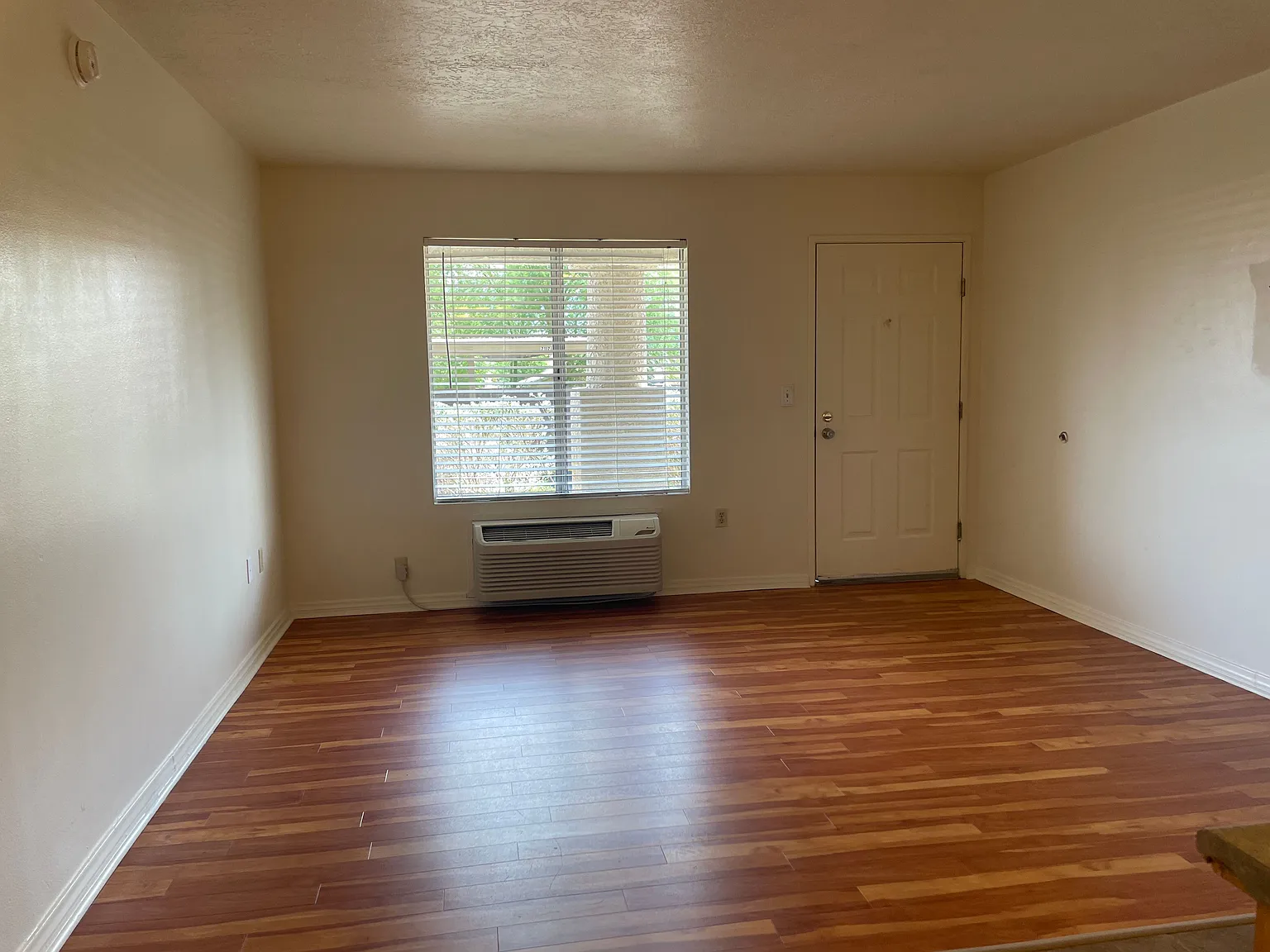 Studio, 335 sqft, $810 — Photo 4