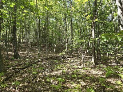 419-24 Meeting House Road, Gilmanton, NH, 03237