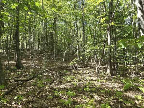 419-24 Meeting House Road, Gilmanton, NH 03237