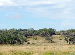 9000 Robinson Family Rd, Austin, TX 78738