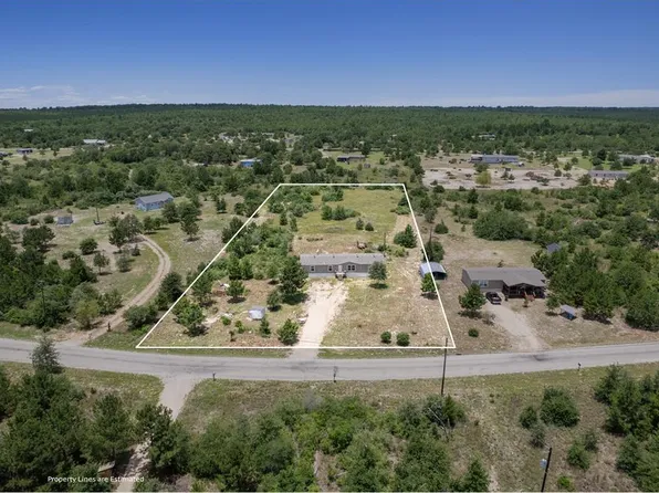 178 Ponderosa Loop, Paige, TX 78659