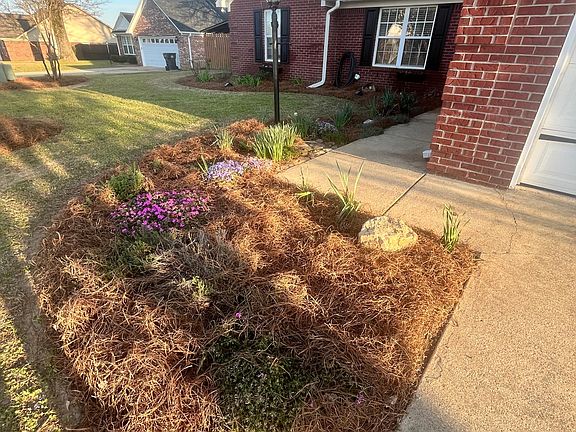 Front Garden with herbs