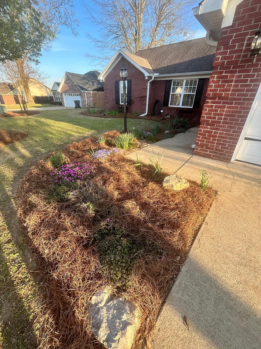 Front Garden with herbs - 112 Franklin St