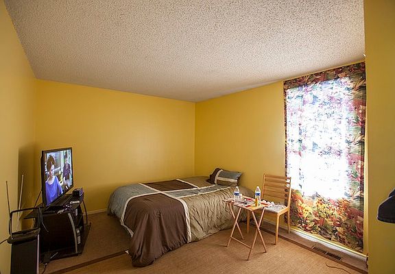 4th image of 901 Coarsey Dr