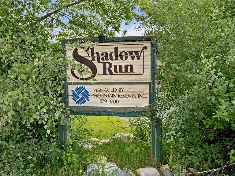 1555 Shadow Run Ct #D103 — Photo 20