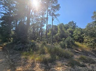 57117 County Road 3325, Colmesneil, TX 75938