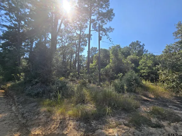 57117 County Road 3325, Colmesneil, TX 75938