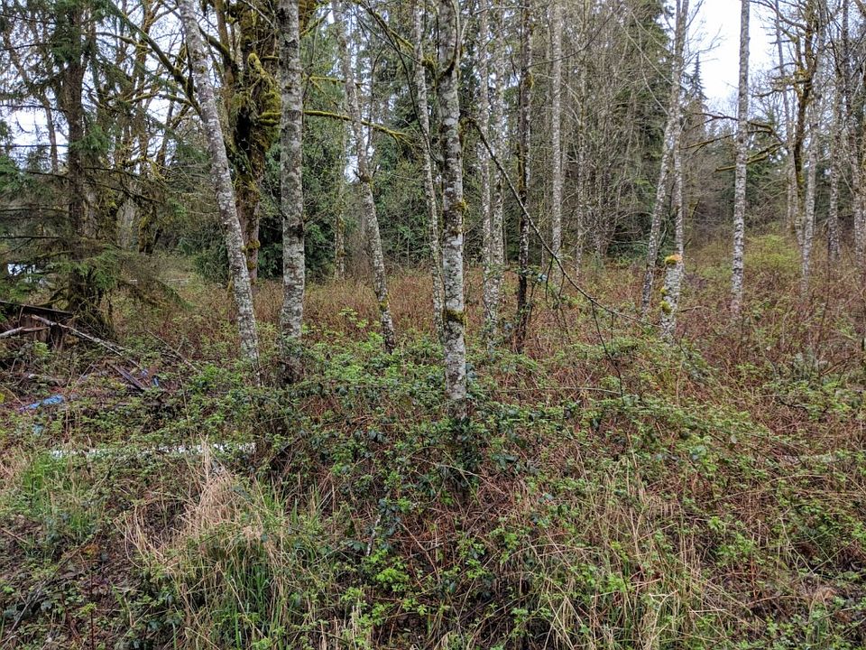2nd image of 27512 178th Pl SE