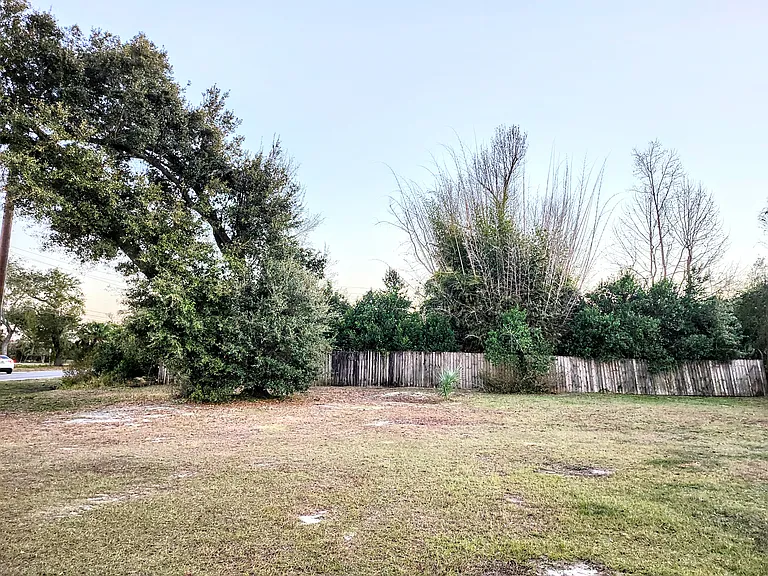 Huge back yard. We pay for lawn care.