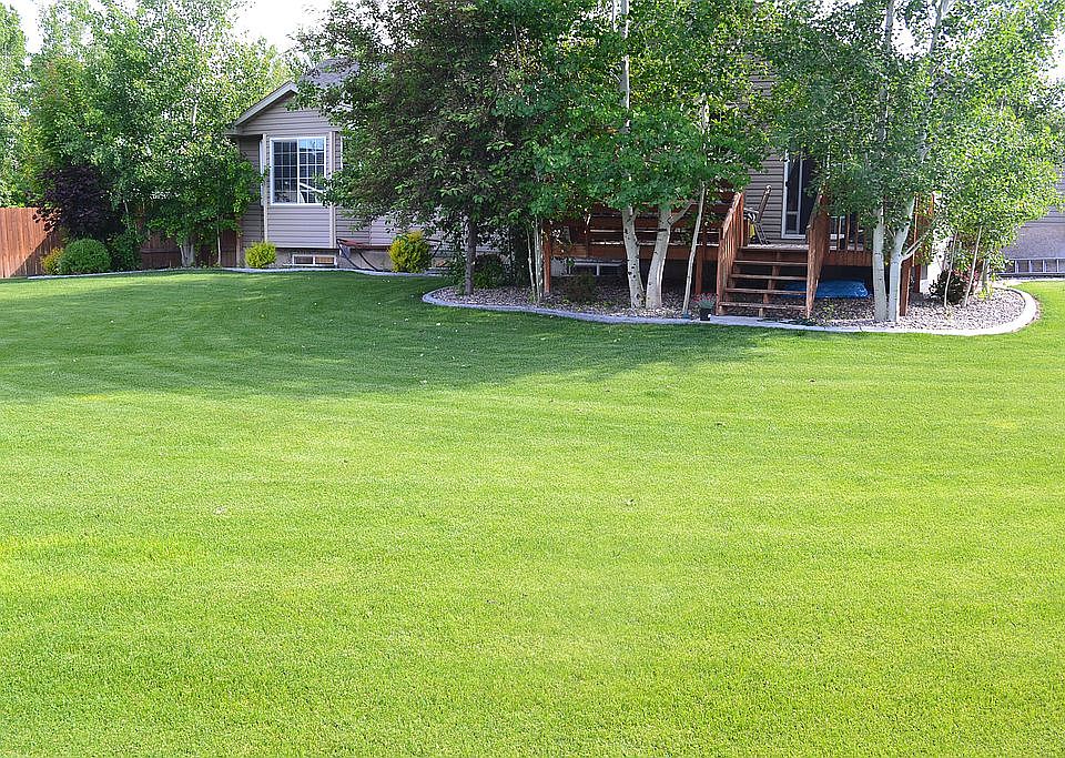 Back yard