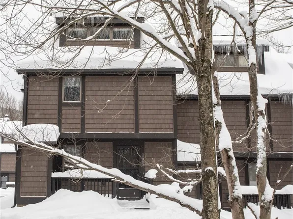 127 Holiview The Woods, Ellicottville, NY 14731