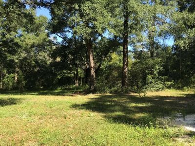 238 NW North St, Mayo, FL, 32066