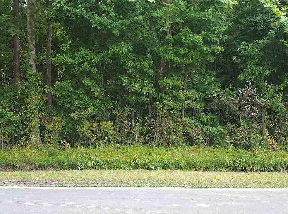 2nd image of 1890 Back Rd