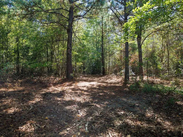Peach Rd, Gilmer, TX 75644